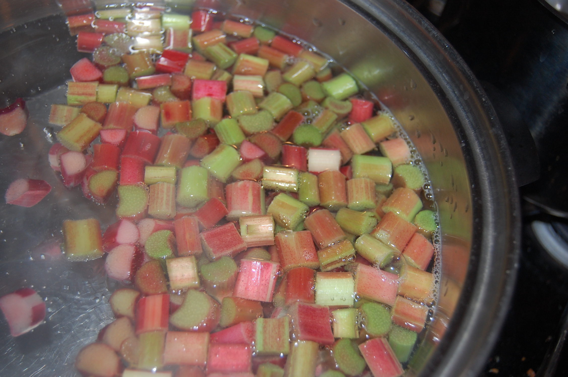 DSC_0006 Chopped rhubarb in a large pot of boiling water, being quickly blanched.