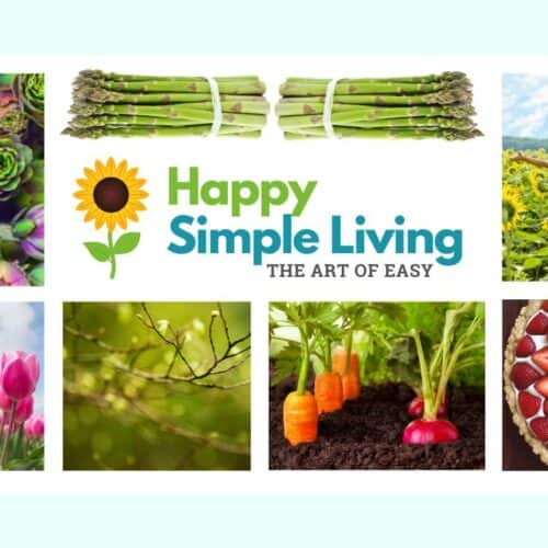 Easy Times, August 1, 2023