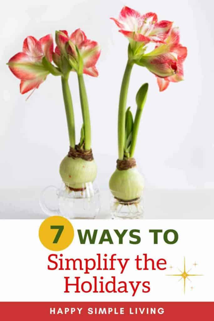 Two amaryllis flowers in glass vases on a white background. Below, text reads 7 Ways to Simplify the Holidays with a small gold star decoration. At the bottom, Happy Simple Living is written.