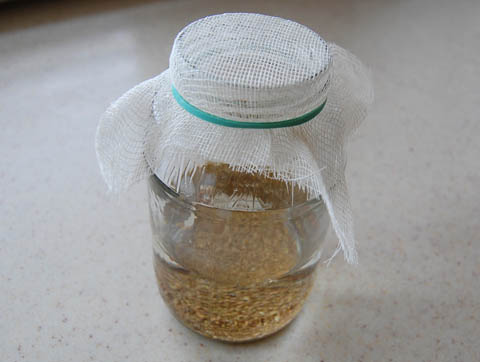 A piece of cheesecloth secured on a glass jar with a rubber band. 